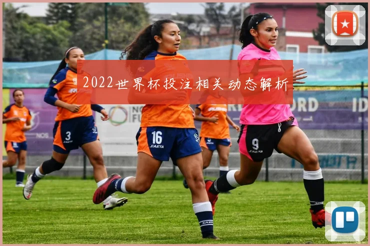 2022世界杯投注相关动态解析