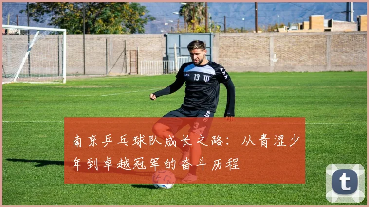 南京乒乓球队成长之路：从青涩少年到卓越冠军的奋斗历程