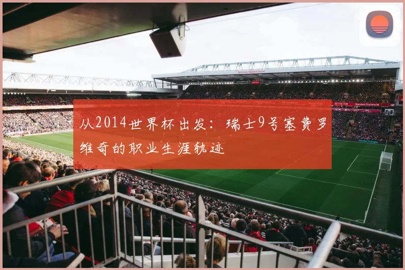 从2014世界杯出发：瑞士9号塞费罗维奇的职业生涯轨迹